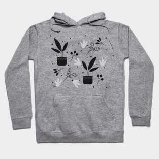 Colorless Plants Hoodie